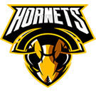 team_logo_06 https://strayscyo.satest.top/wp-content/uploads/2022/09/team_logo_06.png