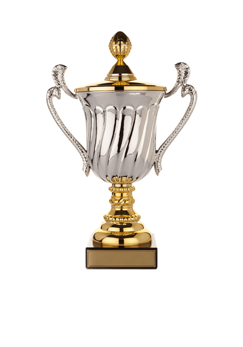 trophy_02 https://strayscyo.satest.top/wp-content/uploads/2022/11/trophy_02.png