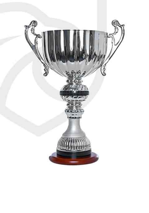 trophy_overlay_01 https://strayscyo.satest.top/wp-content/uploads/2022/11/trophy_overlay_01.jpg