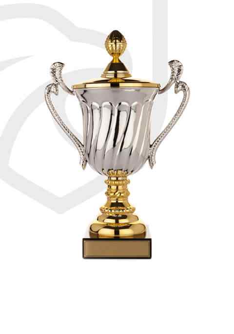 trophy_overlay_02 https://strayscyo.satest.top/wp-content/uploads/2022/11/trophy_overlay_02.jpg