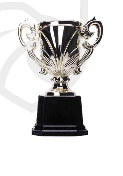trophy_overlay_04 https://strayscyo.satest.top/wp-content/uploads/2022/11/trophy_overlay_04.jpg